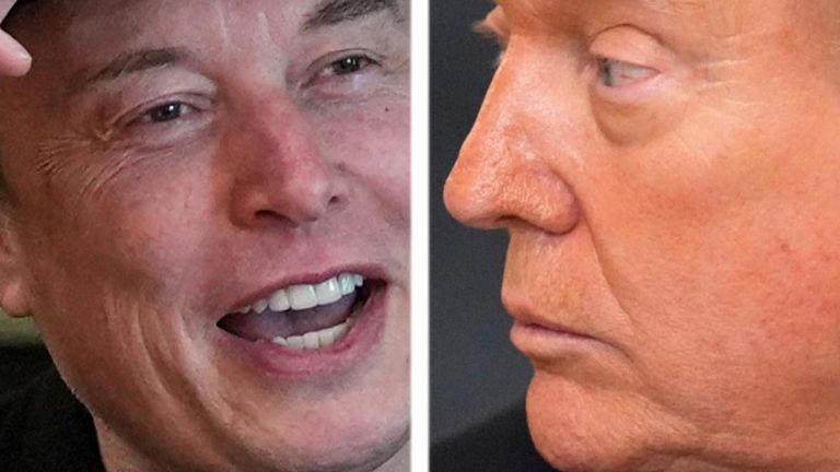Donald Trump and Elon Musk fall out