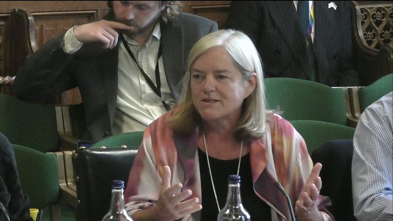 The author of the government's report into grooming gangs says she feels "the bigger issue of men's violence towards women is in danger of being lost" in conversations about race.