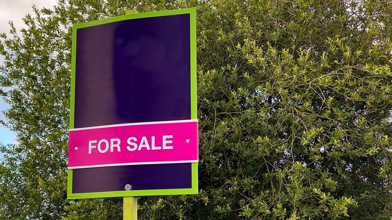 Sign advertising property for sale. No people. Space for copy.
