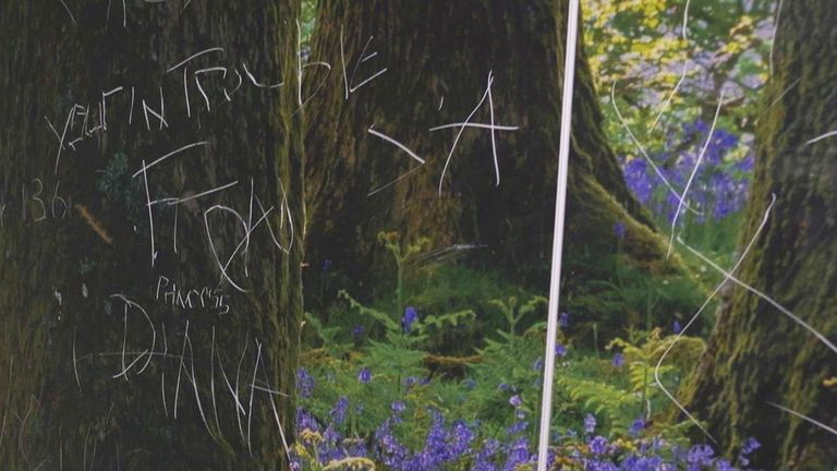 Scratched words on floral wallpaper 