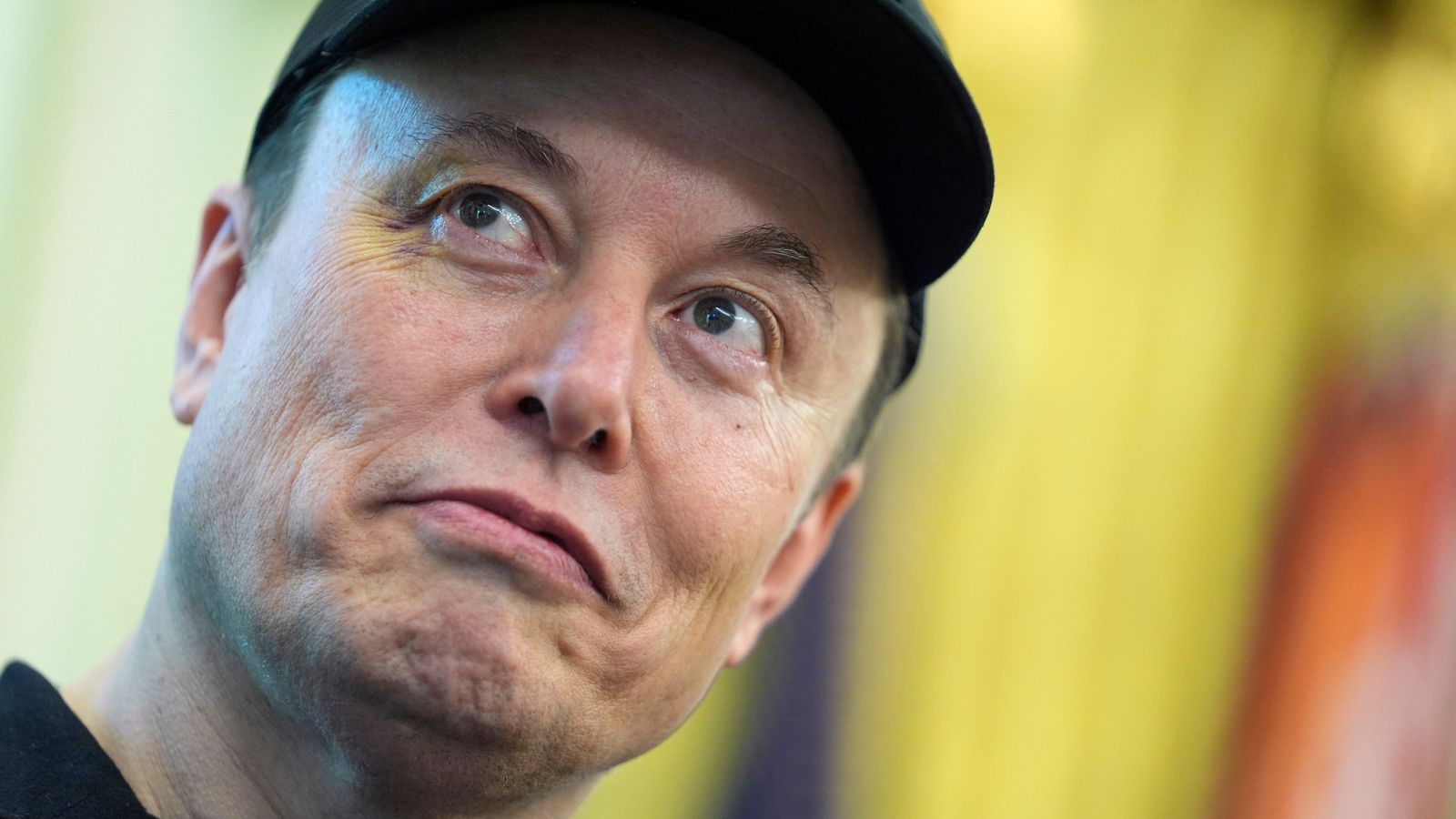 Tesla shares sink as Musk launches political party