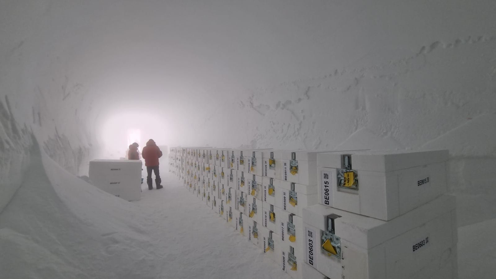 Antarctica’s oldest ice arrives in UK for analysis on climate shifts
