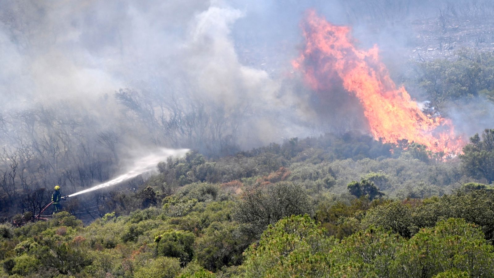 Wildfire ‘at the gates’ of Marseille as mayor warns people to stay inside Wildfire ‘at the gates’ of Marseille as mayor warns people to stay inside