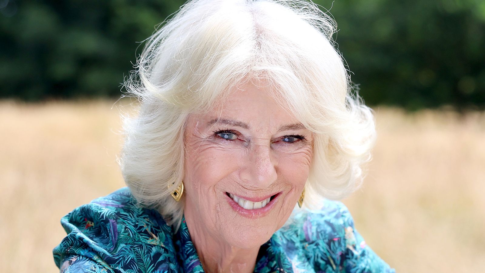 Queen Camilla told Boris Johnson she was attacked on a train as a teenager