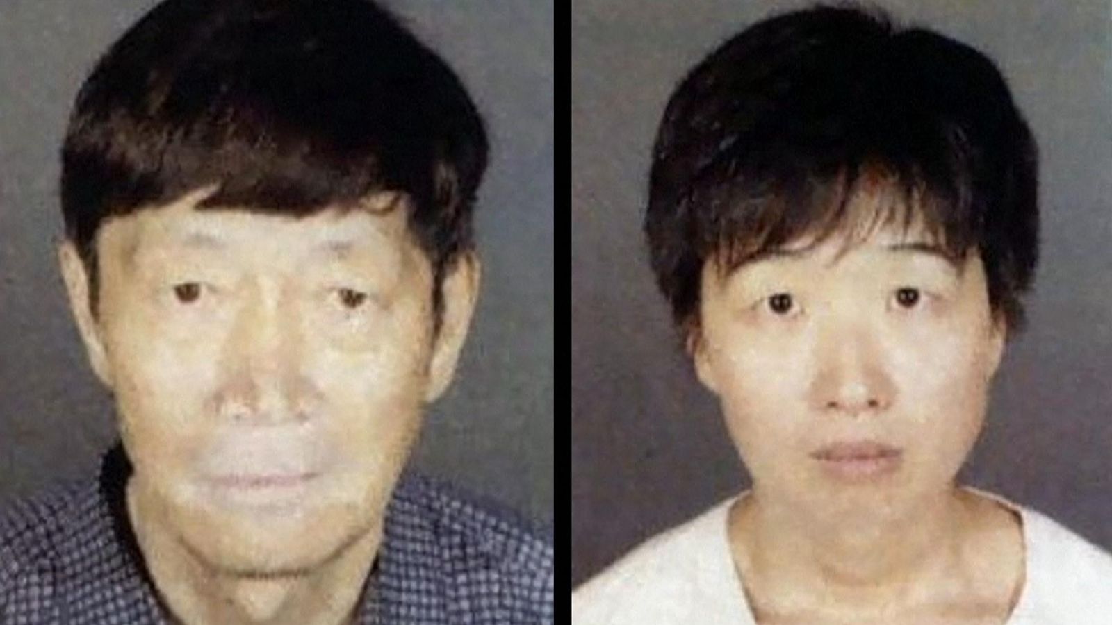 California: 21 children taken into custody - amid claims couple misled surrogate mothers across the US