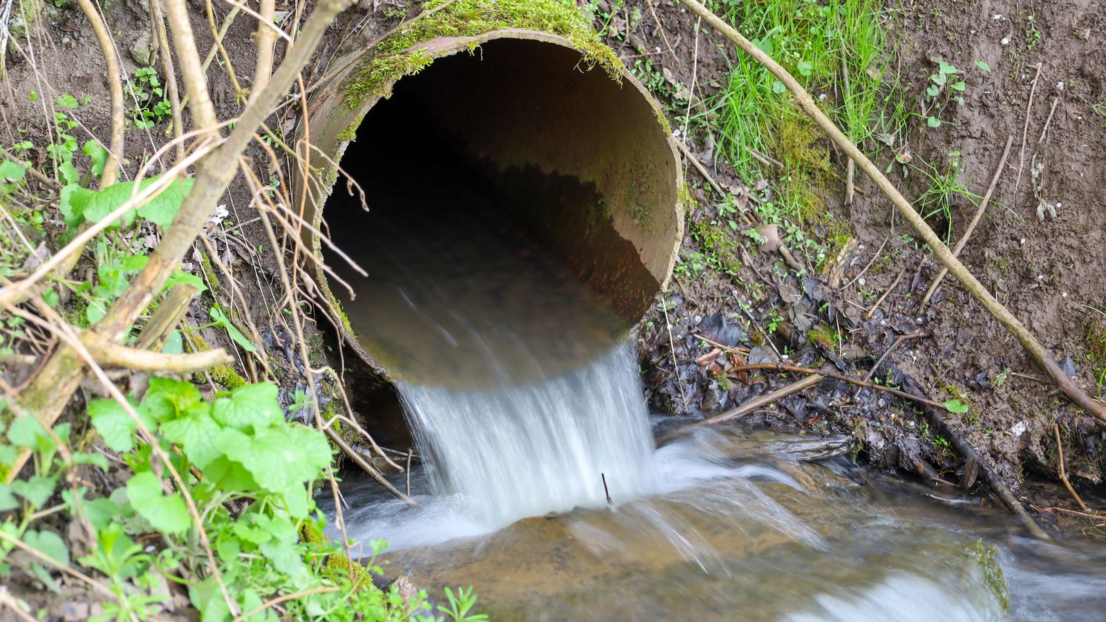 Labour will eliminate unauthorised sewage spillages in a decade, environment secretary says