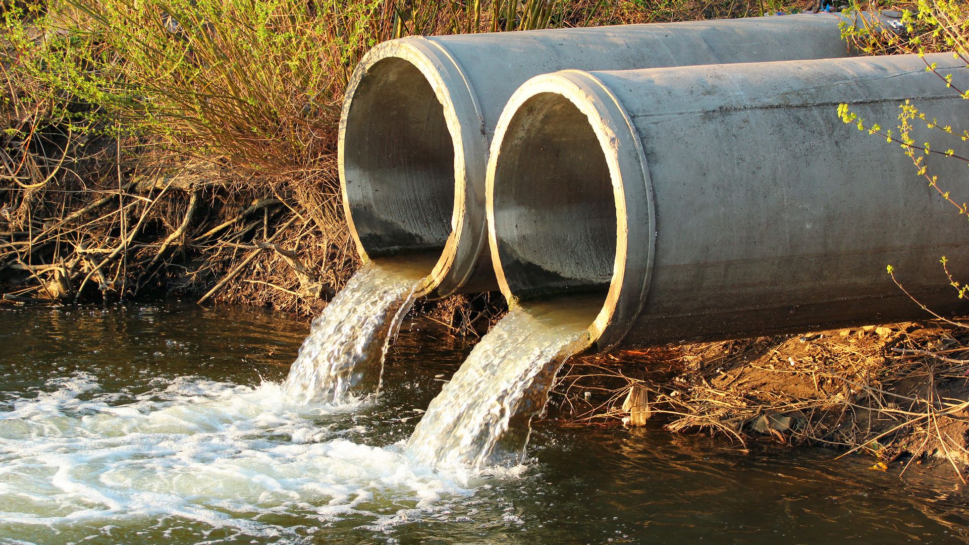 Under-fire water regulator could be scrapped