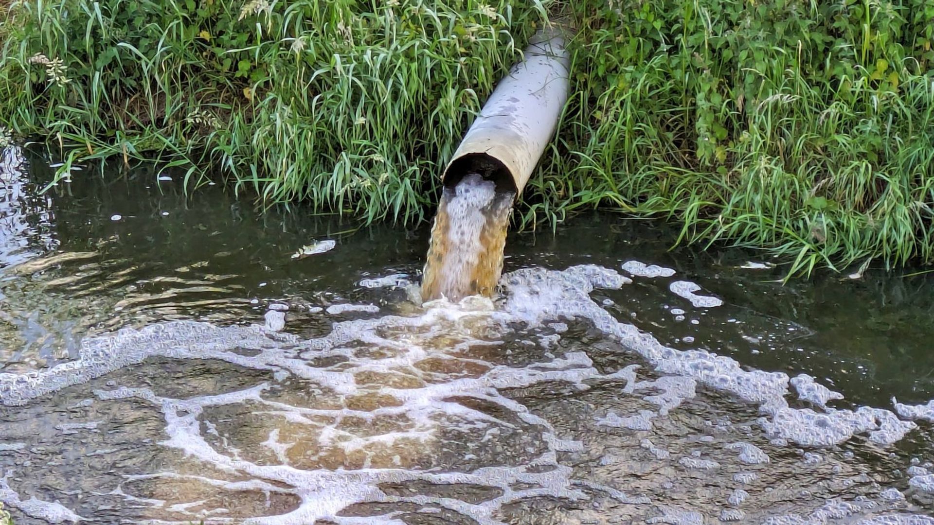 Ofwat could be scrapped in water reforms