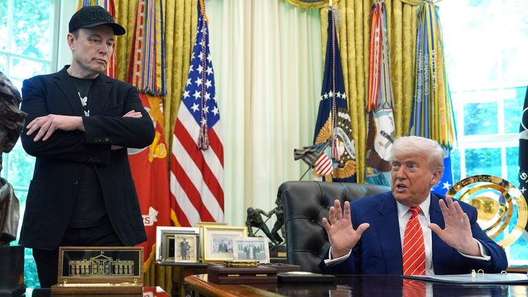 Elon Musk with Donald Trump in the Oval Office. Pic: AP