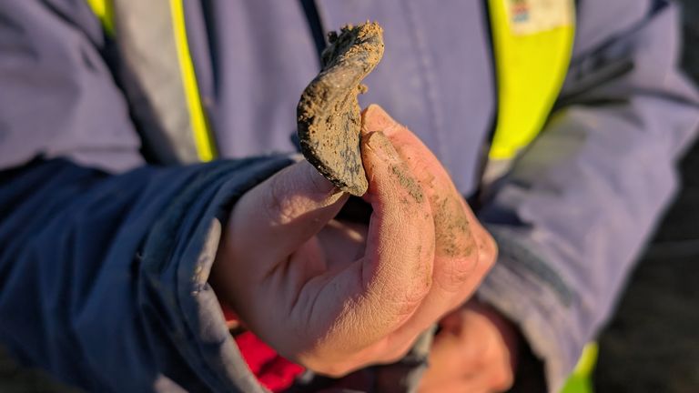 Fragment tego, co według archeolodzy jest rzymską ceramiką. Zdjęcie: Pa