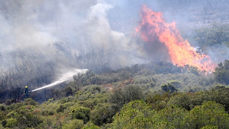 French firefighters work to contain a fire in the Fontfroide   near Narbonne in Aude, Southern France.
Pic: Reuters