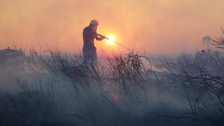 Strażak próbuje ugasić Blazes podczas pożaru, na północno -zachodnim przedmieściu Kryoneri, w Atenach, Grecja, sobota, 26 lipca 2025 r. (AP Photo/Yorgos Karahalis)