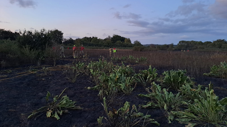 The aftermath of a grass fire near Wingletye Lane in Hornchurch, East London