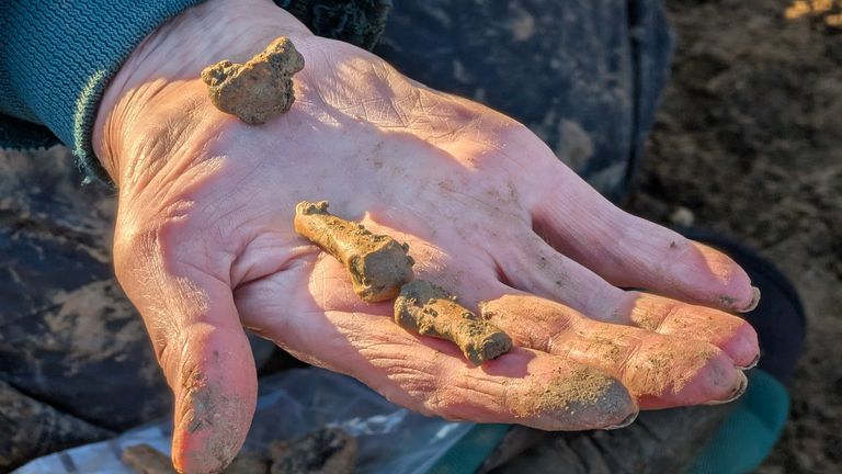 Kości palców od oddzielonego ludzkiego ramienia znalezionego podczas wykopalisk. Zdjęcie: Pa