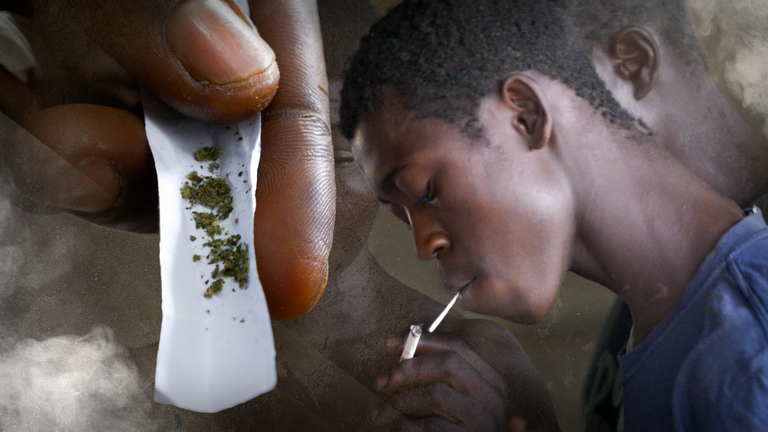 sierra leone kush feature teaser