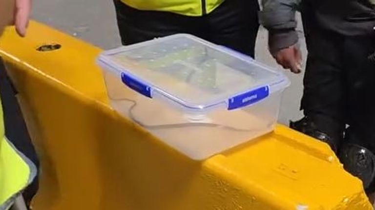 For quarantine reasons the snake could not be returned to the wild. Pic: Mark Pelley