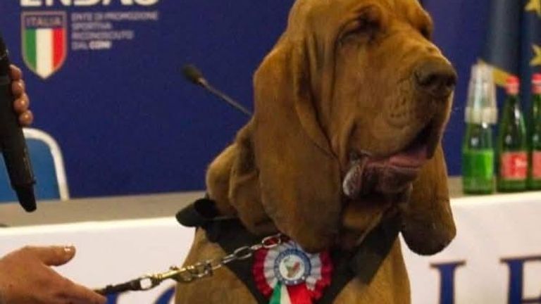Bruno had won awards for finding missing people. Pic: Facebook/arcangelo.caressa.96