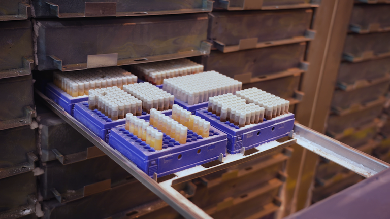 Banken met bevroren monsters opgeslagen in het UK Biobank-project