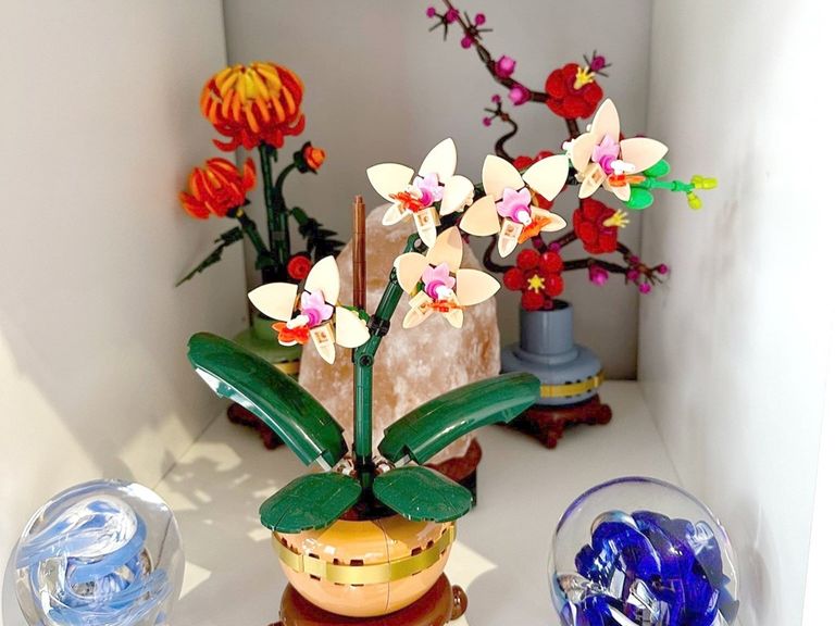 A LEGO Botanicals model from Vicki Gray's collection