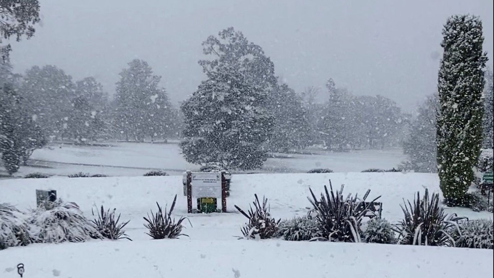 ‘Unusual’ snow, rain and thunderstorms sweep across eastern Australia