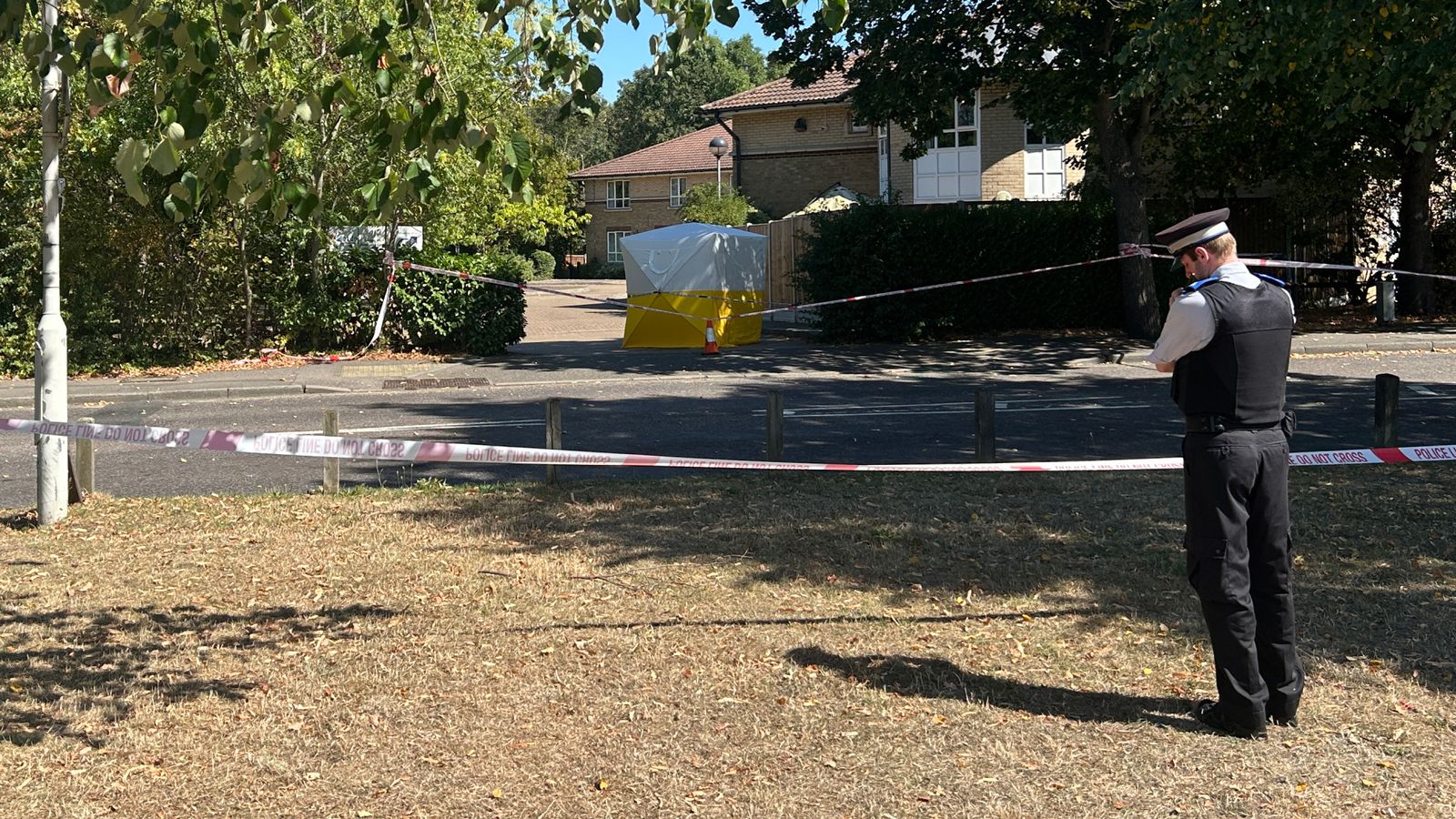 Chadwell Heath: Three arrested after death of woman in east London