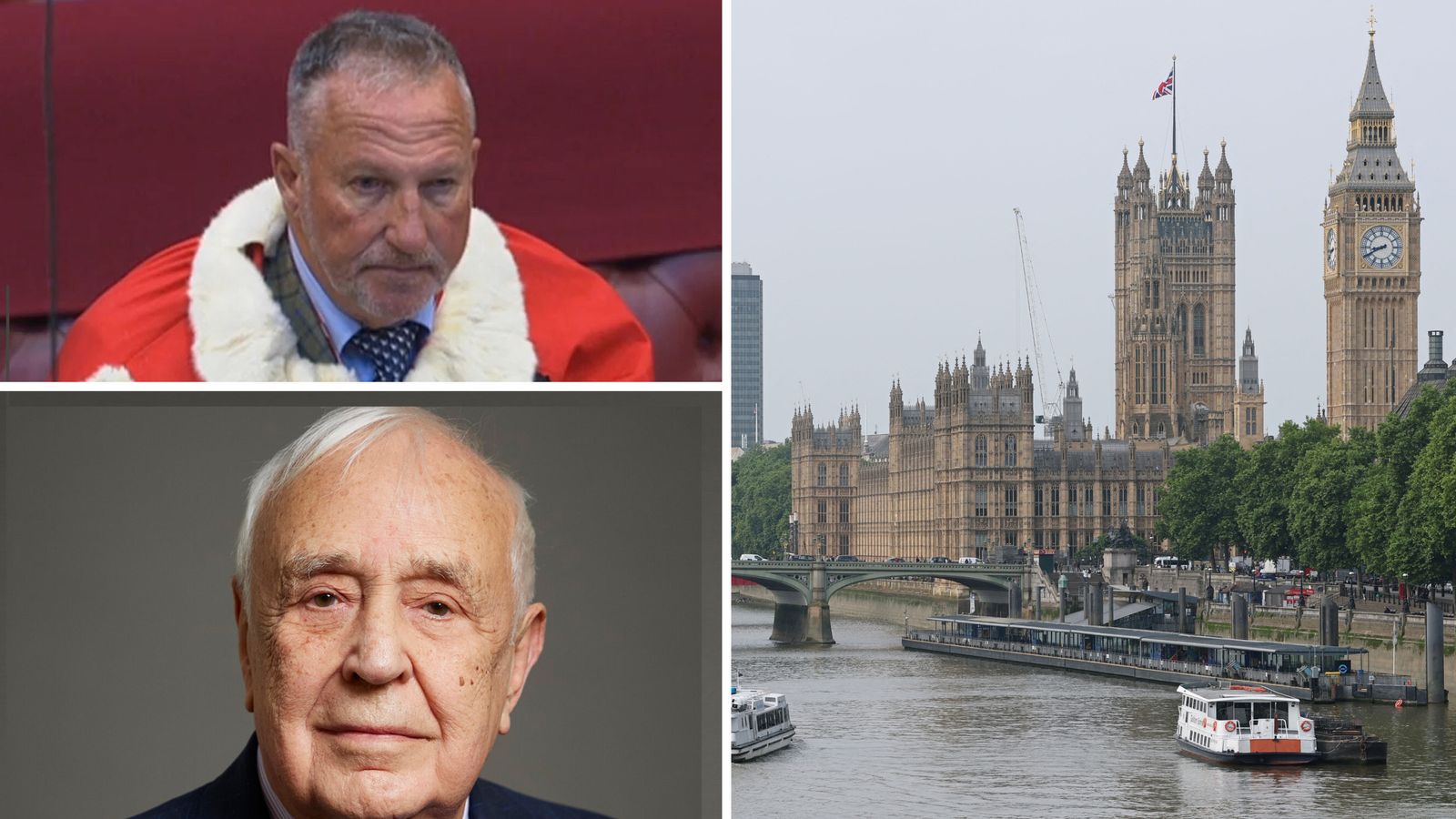 House of Lords under fire for dropping rule that once caught out cricket legend and historian