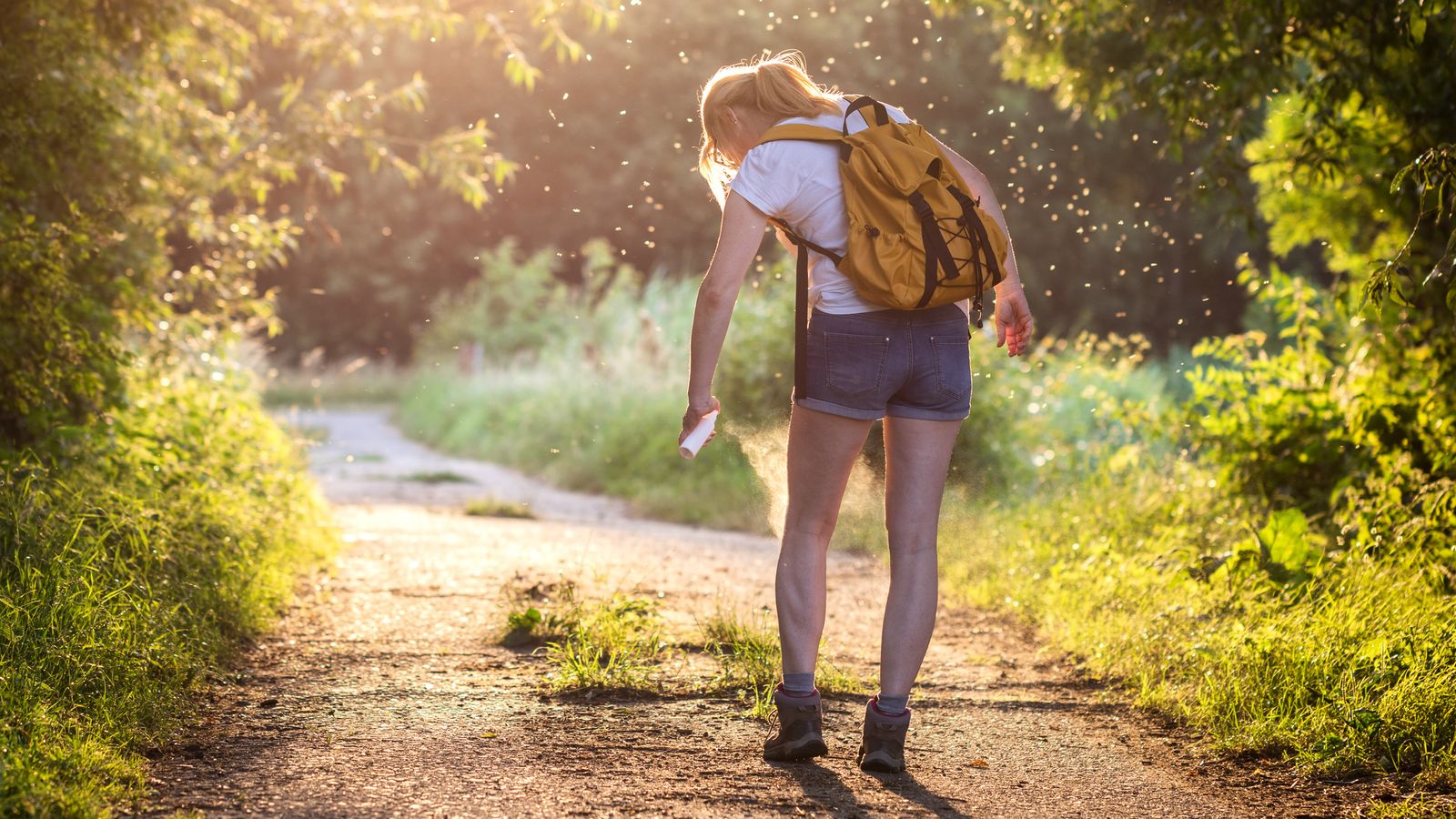 Causes, symptoms and how to prevent chikungunya - as cases rise in the UK