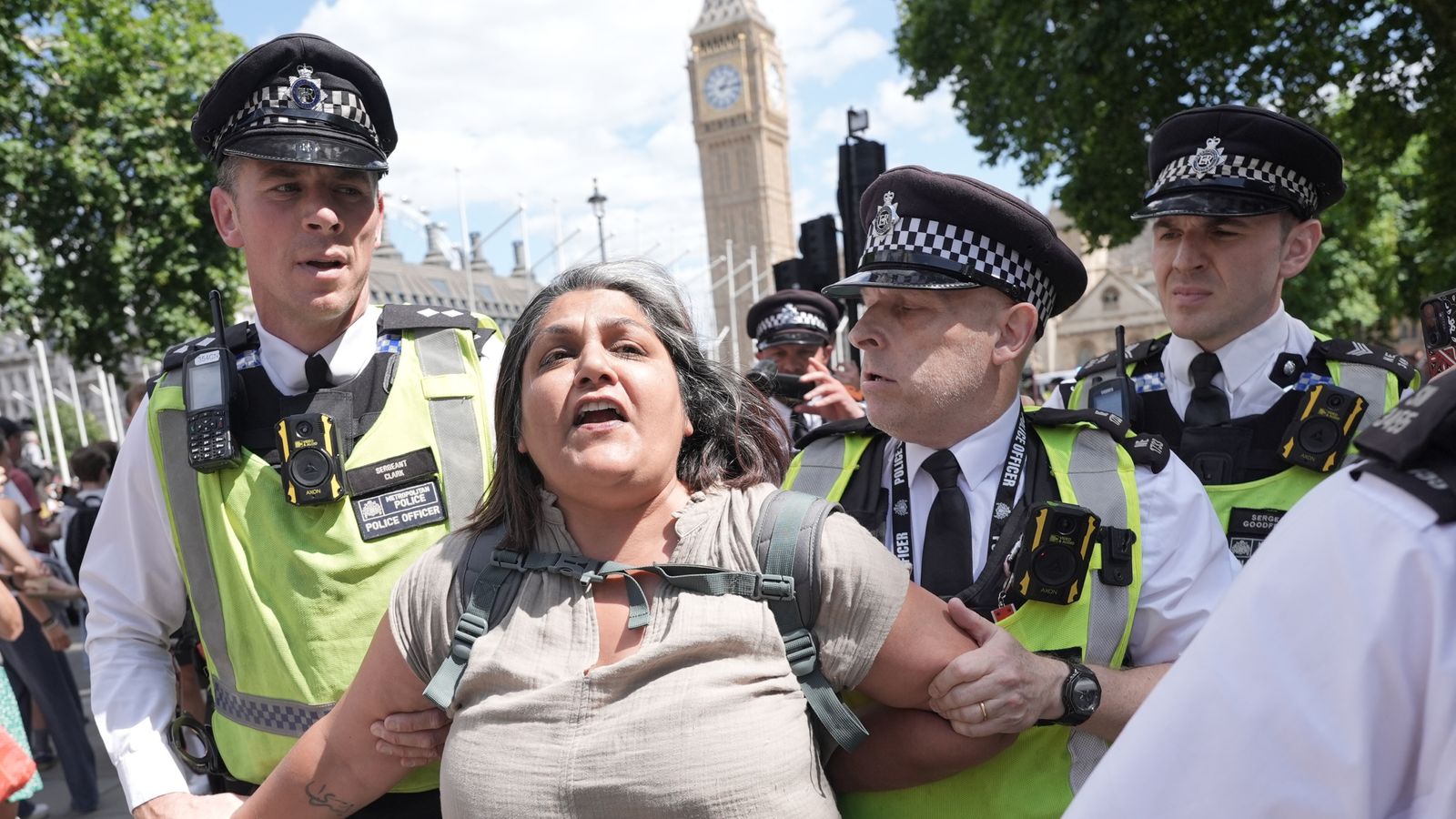 Amnesty International 'deeply concerned' as 474 arrests made at Palestine Action protest