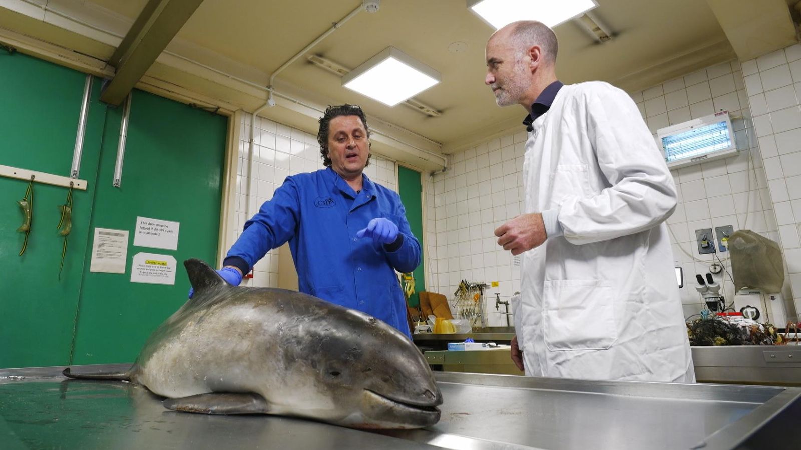 A real-world CSI for sea life: The lab investigating deaths we're all complicit in