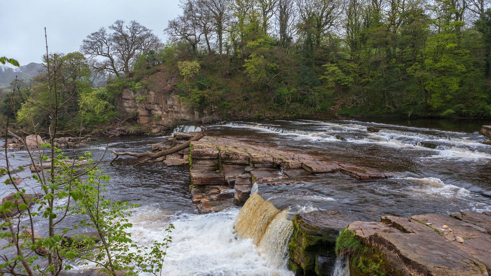 Body pulled from river in search for missing boy, 12