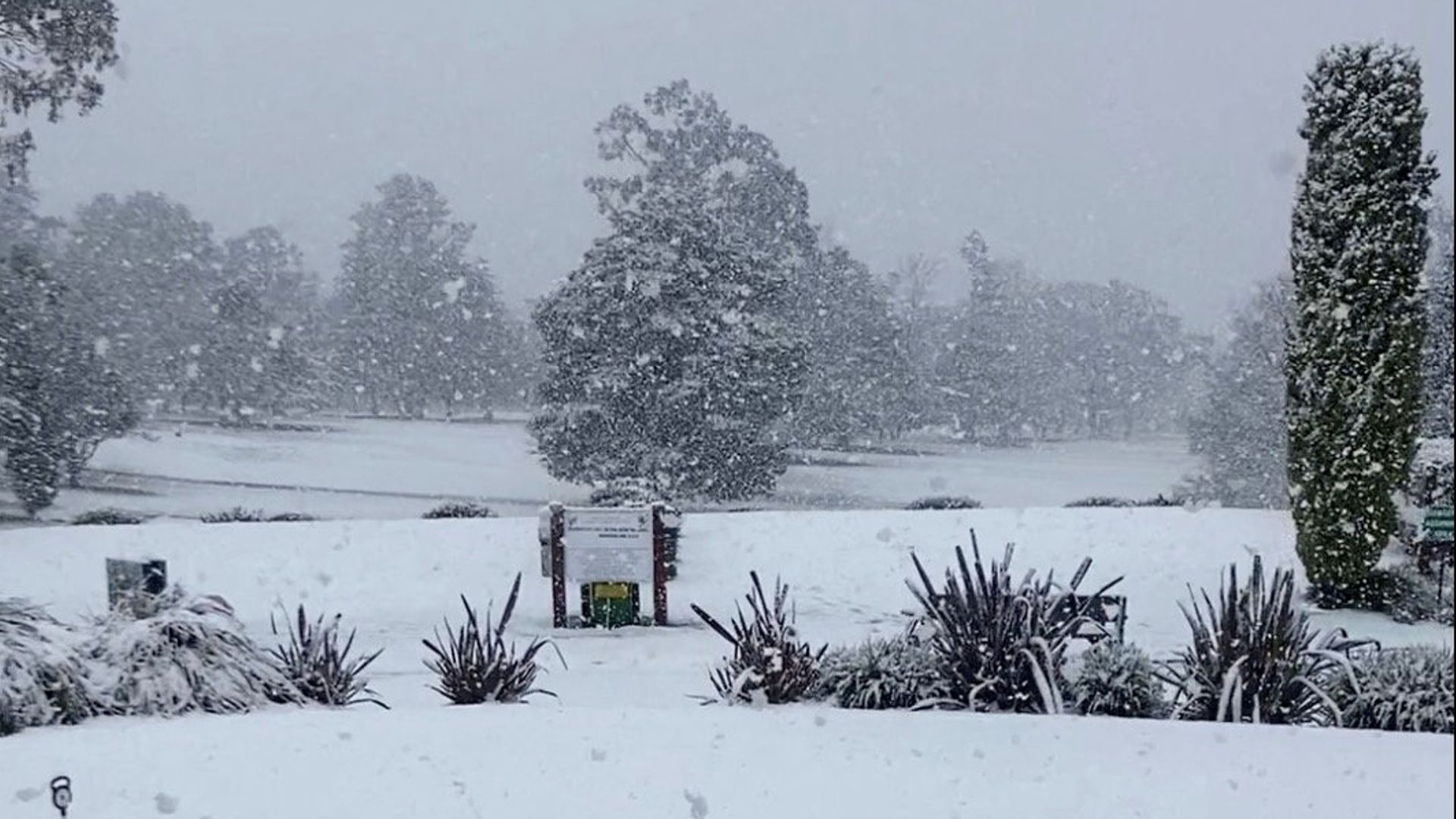 Video shows Australian towns blanketed in thick layer of snow during 'unusual' weather event