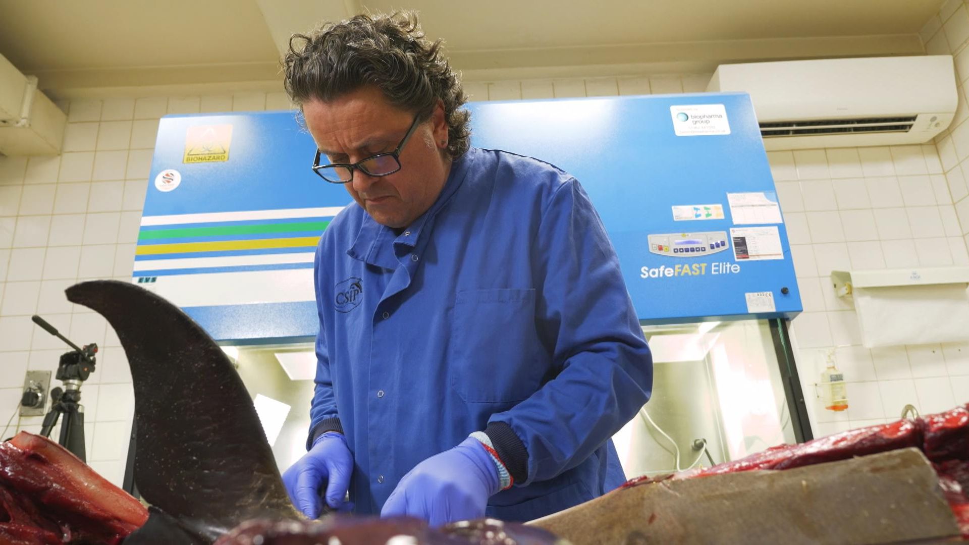 The lab investigating deaths we're all complicit in