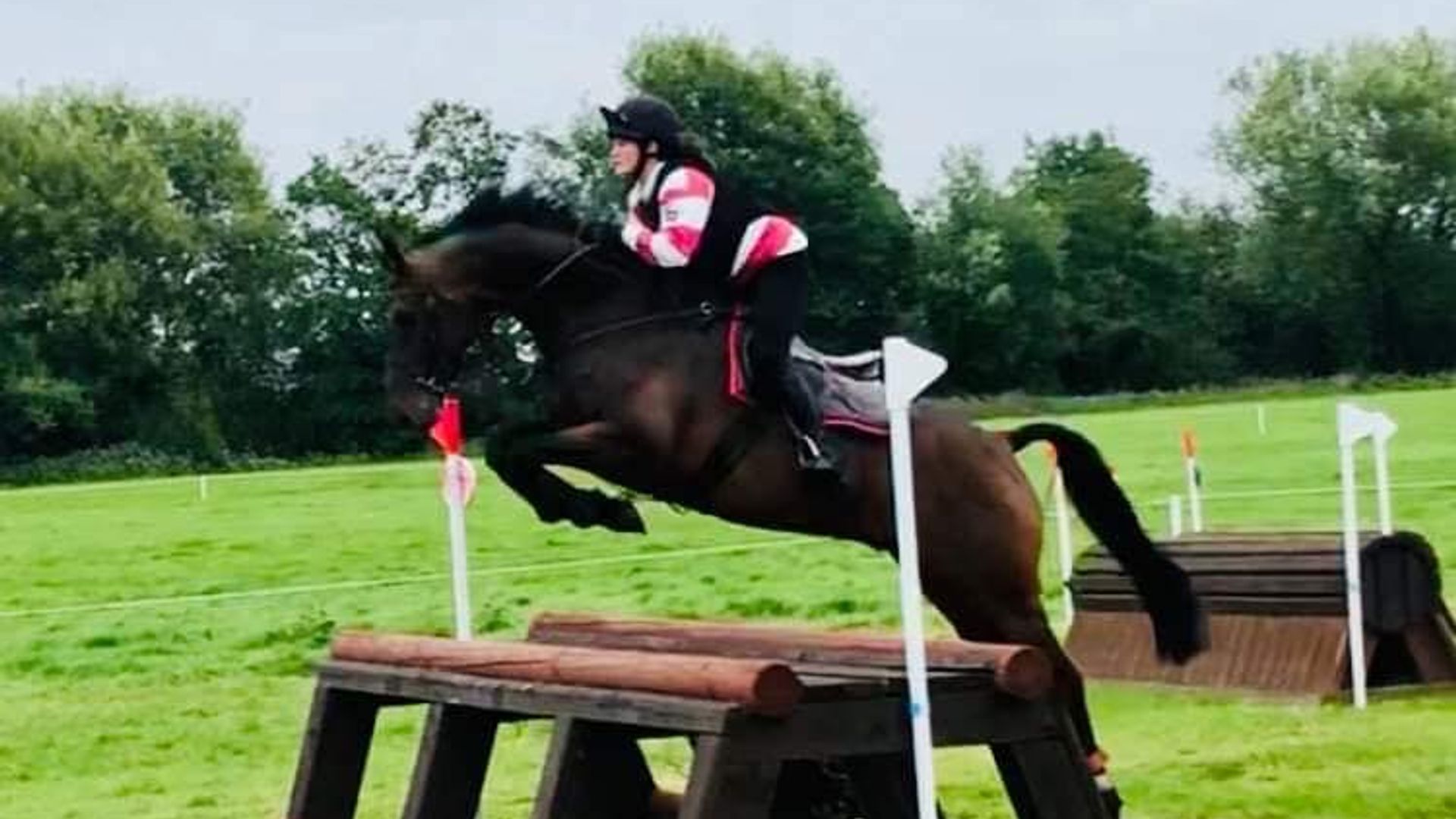 Horse rider dies after falling at fence during major eventing competition