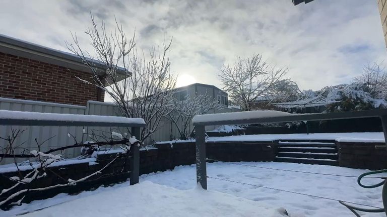 Un jardín nevado en Armidale, Nueva Gales del Sur