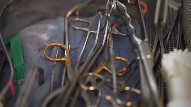 Sky News has been speaking to experts around the world about cadaver implants for more than a year