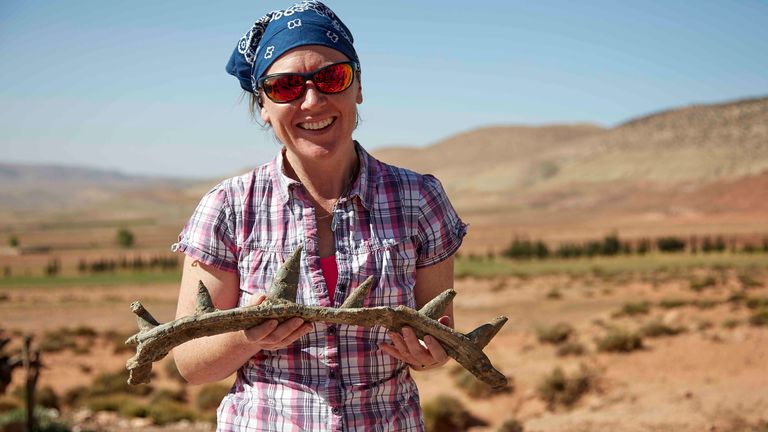Profesor Susannah Maidment z jednym z skamielin Spicomellus. Zdjęcie: Muzeum historii naturalnej