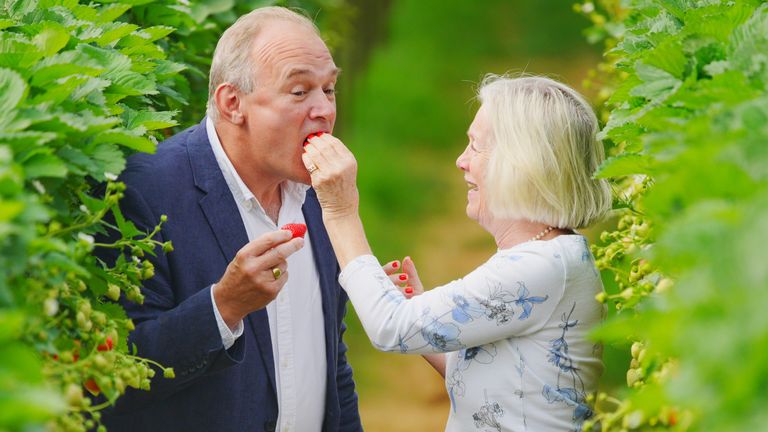 Sir Ed Davey takes part in strawberry picking with Tessa Munt, the MP for Wells & Mendip Hills. Pic: PA