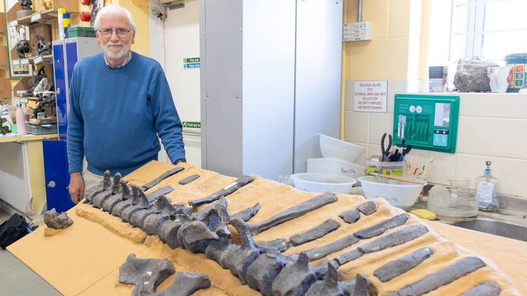 Lockwood said the creature had particularly long neural spines. Pic: University of Portsmouth/PA