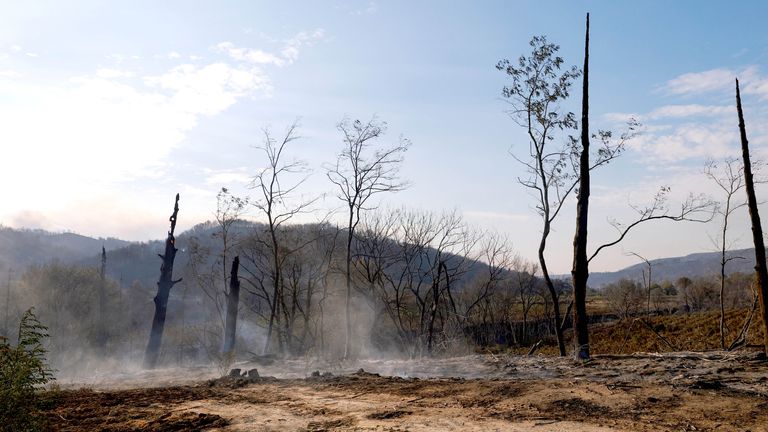 Smoke rises from a charred area near Saint-Laurent-de-la-Cabrerisse. Pic: Reuters