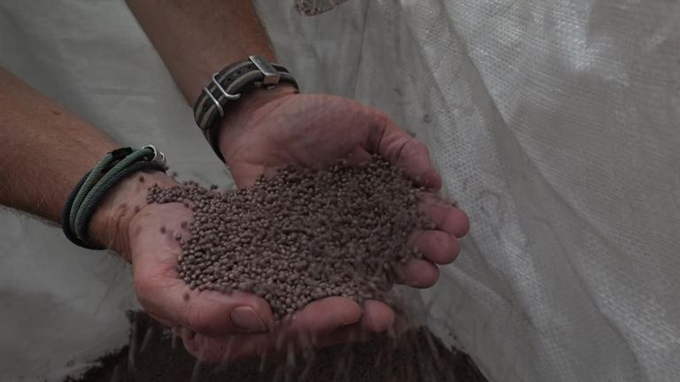 Plastic pellets
