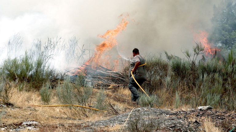 A resident works to extinguish a wildfire approaching Gradiz, in Aguiar da Beira, Portugal, August 14, 2025. REUTERS/Pedro Nunes