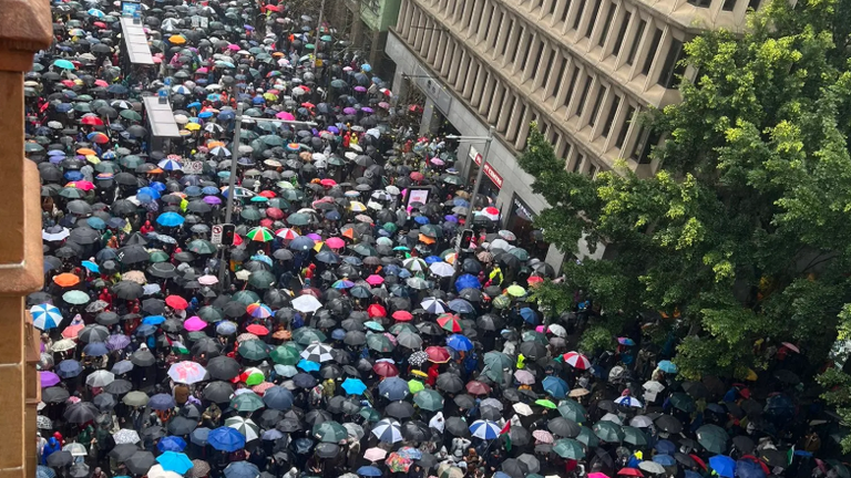 Protest in Sydney. Pic: @emafranklin via Storyful