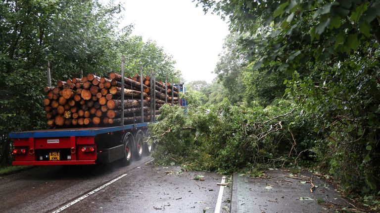A fallen tree blocks a part of the A82 road near Onich, as Storm Floris hits Scotland, Britain August 4, 2025. REUTERS/Russell Cheyne