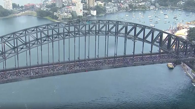 Pro-Palestine protesters on Sydney Harbour Bridge