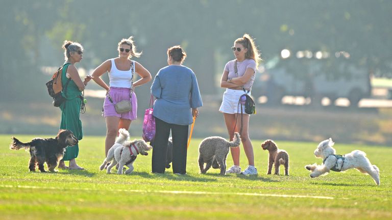 People walking their dogs on Tooting Bec Common in London as amber heat health warnings have been issued across large swathes of England. Pic: Ben Whitley/PA 
