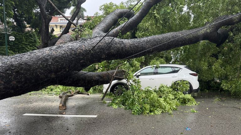 A car is crushed under a fallen tree in the aftermath of typhoon Kajiki in Hanoi. Pic: Nguyen Quang Hai/VNA via AP