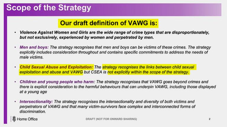 The internal Home Office document detailing its violence against women and girls strategy