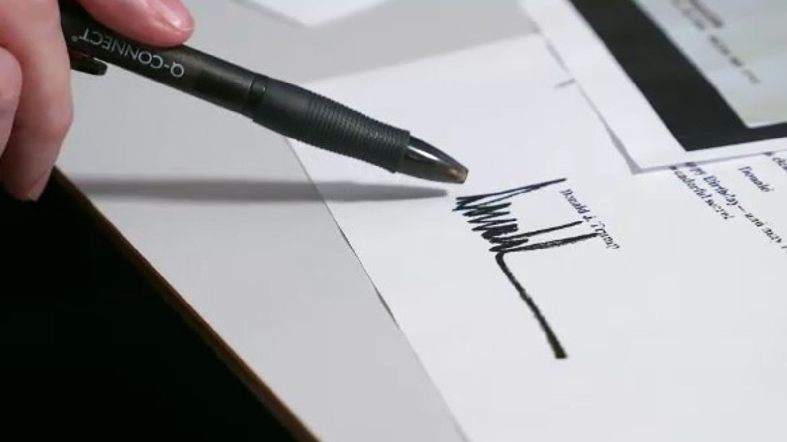 Handwriting expert says 'Donald Trump signature' in Epstein birthday book is 'absolutely' his - despite his denials