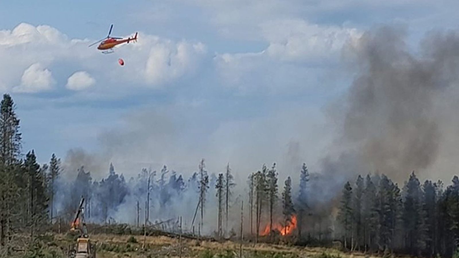 UK suffers worst ever year for wildfires - with total set to eclipse 1,000