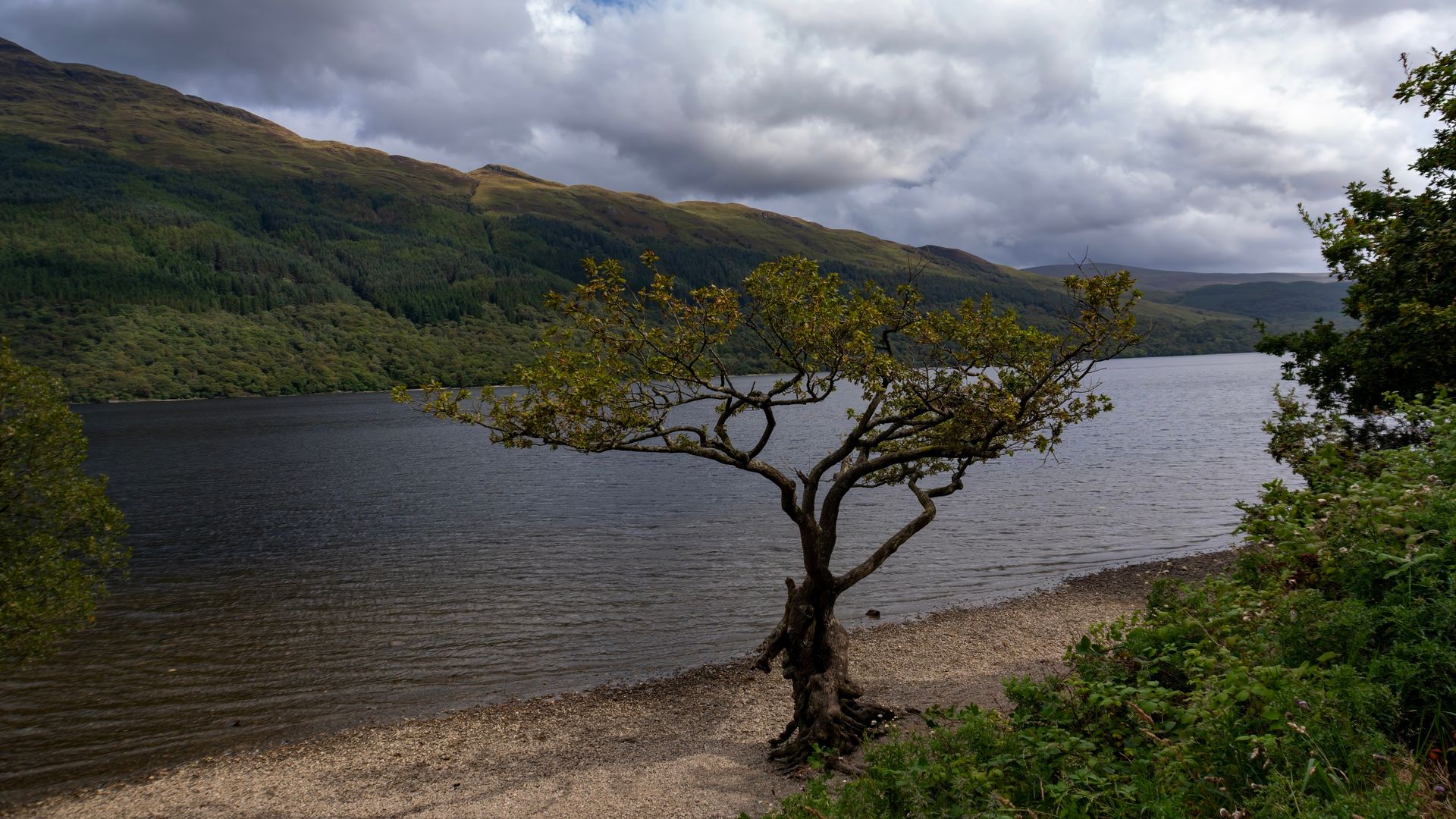 'Possible human remains' discovered at beauty spot